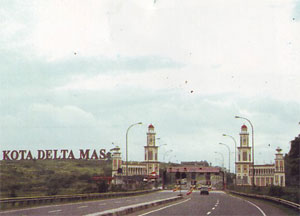 delta-mas.jpg (300×216)